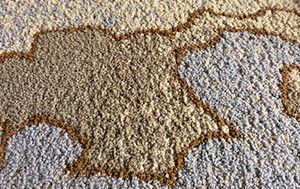 ماكينة صناعة سجاد التافت الملون (سجاد ذو وبر حلقي، متعدد الارتفاعات)