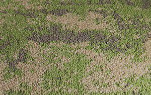 ماكينة صناعة سجاد التافت الملون (سجاد ذو وبر حلقي، متعدد الارتفاعات)