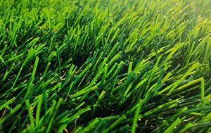 ماكينة صناعة العشب الصناعي